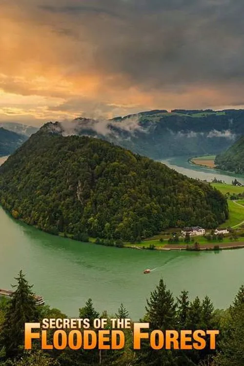 Paul Hollingdale interpreta a Narrator en Secrets of the Flooded Forest - Danube National Park