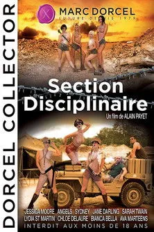 Póster de la película Section disciplinaire