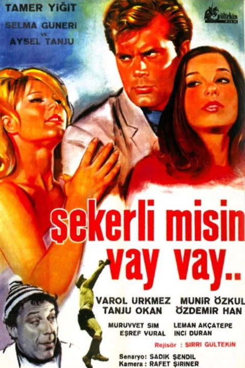 Portada de Şekerli Misin Vay Vay