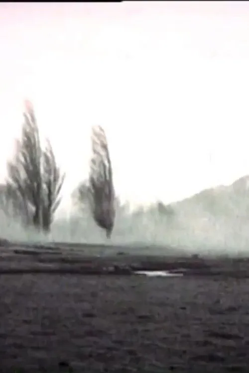 Mirlan Abdykalykov interpreta a  en Селькинчек