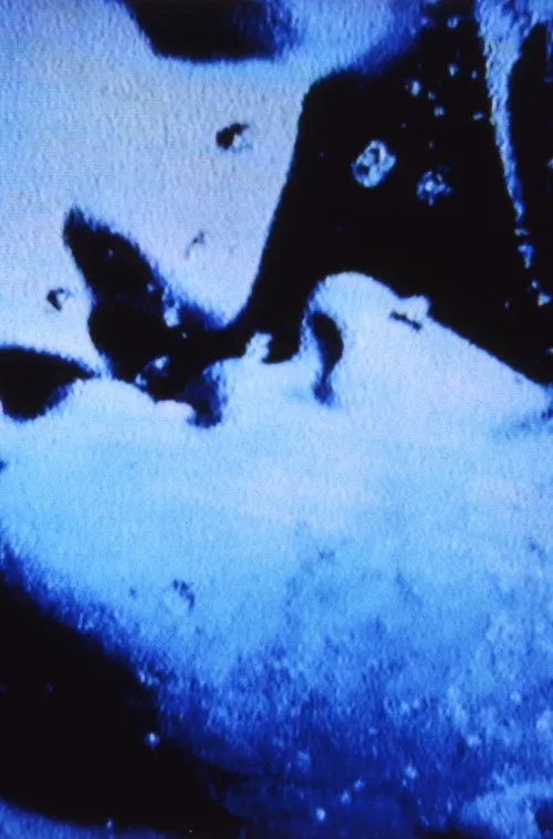 Póster de Self-Portrait in 23 Rounds: a Chapter in David Wojnarowicz’s Life, 1989–1991