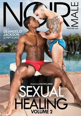 Póster de Sexual Healing 2