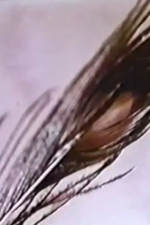 P. Adams Sitney interpreta a Himself en Sexual Meditation: Faun's Room, Yale