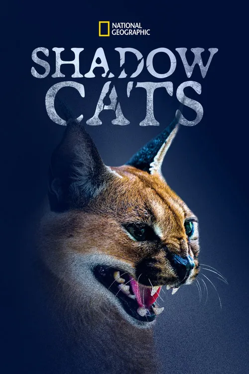 Portada de Shadow Cats