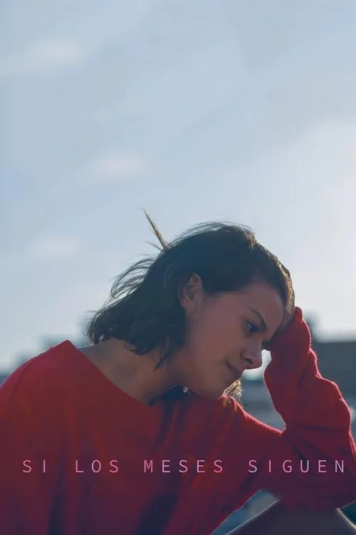 Póster de Si los meses siguen