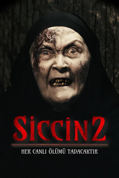 Póster de Siccîn 2