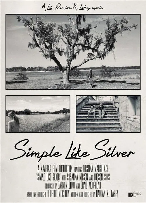 Póster de Simple Like Silver