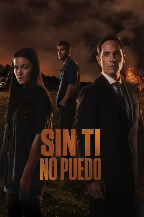 Póster de Sin ti no puedo