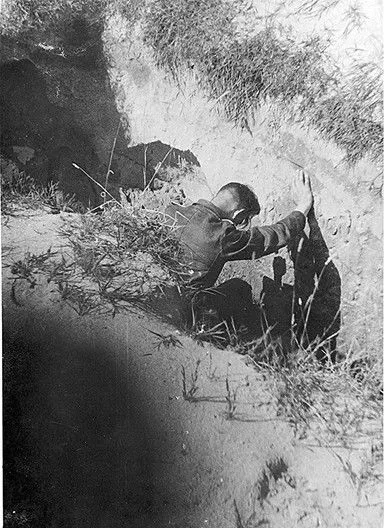 Póster de la película Sinimäed