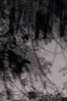 Heath Lamberts interpreta a en Six Fifty