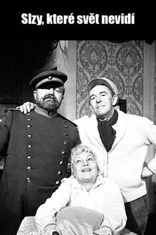 Póster de la película Slzy, které svět nevidí