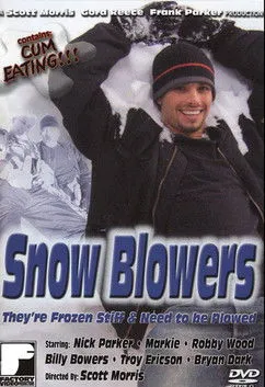Póster de la película Snow Blowers