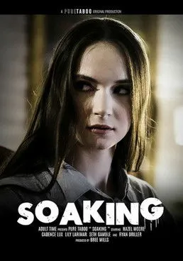 Póster de la película Soaking