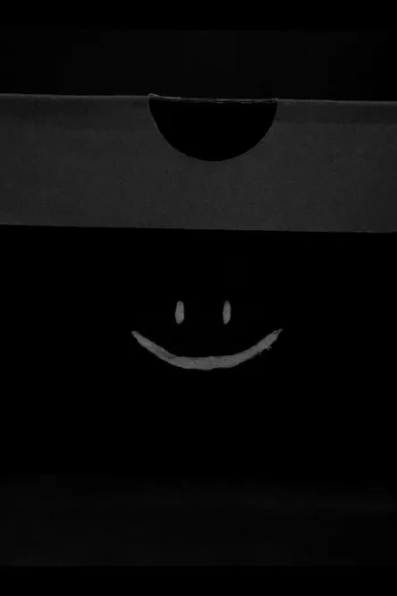 Lliam Shane interpreta a  en Sole Of A Salesman