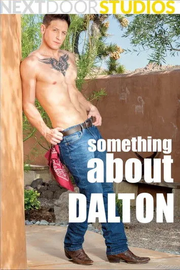 Póster de Something About Dalton