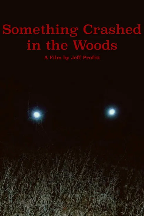 Póster de Something Crashed in the Woods
