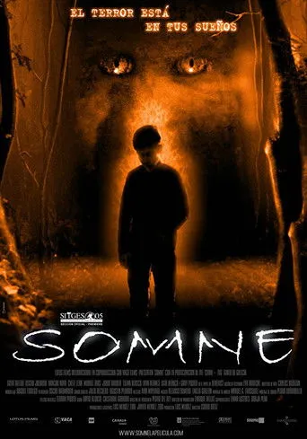 Póster de Somne