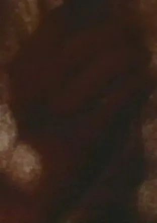 Jane Wodening interpreta a Herself en Song 5