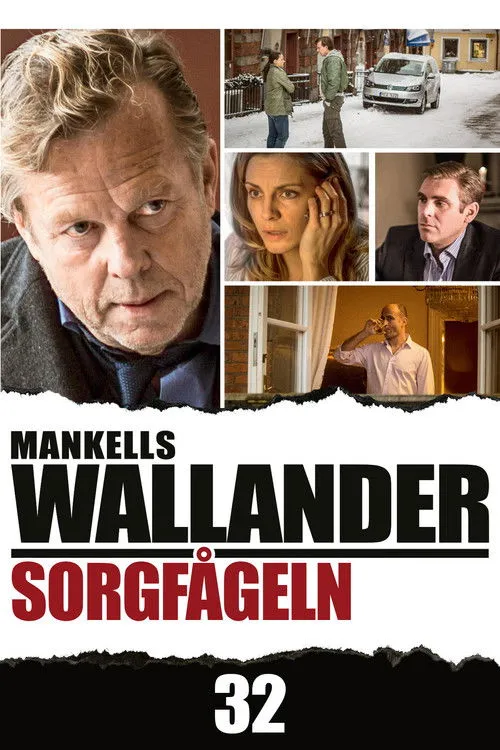 Póster de Sorgfågeln