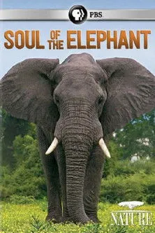 Dereck Joubert interpreta a Himself - Narrator en Soul of the Elephant