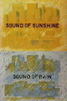 Joseph Stern interpreta a  en Sound of Sunshine - Sound of Rain