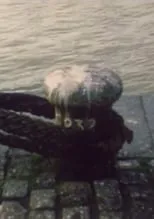 Pascal Martin interpreta a Himself en Souvenirs/Rouen