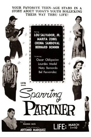 Póster de la película Sparring Partner
