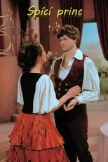 Póster de la película Spící princ