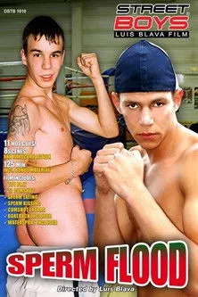 Póster de la película Sperm Flood