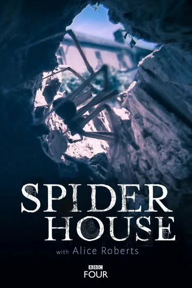 Póster de Spider House
