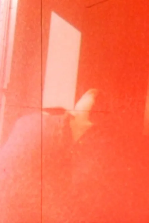 ???? interpreta a en Squareworld (Short Version)