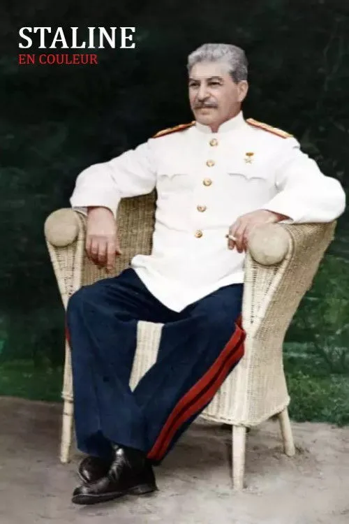 Póster de la película Stalin In Color