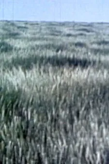 James Lantz interpreta a en Star 34