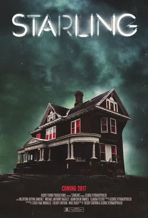 Michael Anthony Bagozzi interpreta a Caleb en Starling