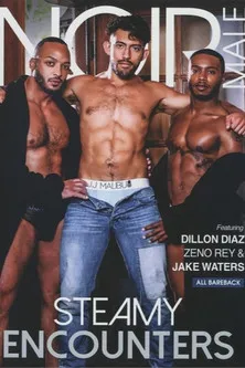 Póster de Steamy Encounters