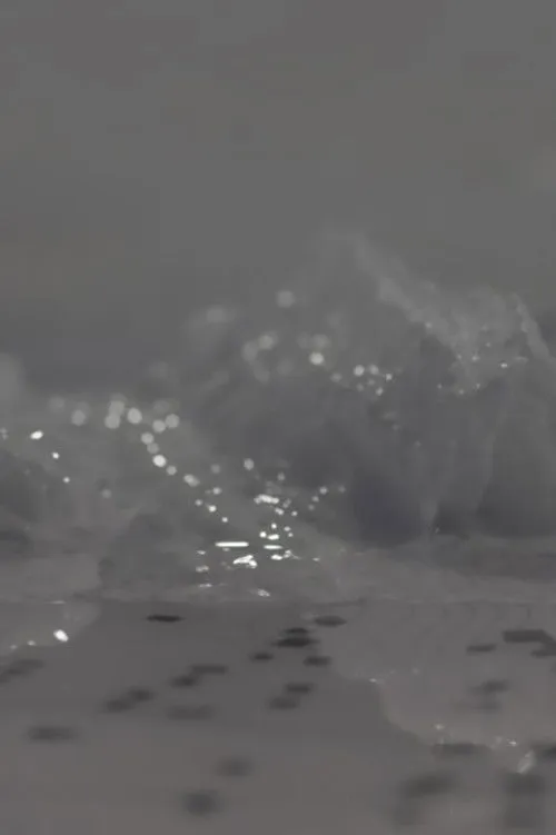 Régina Demina interpreta a  en Stella 50.4N1.5E