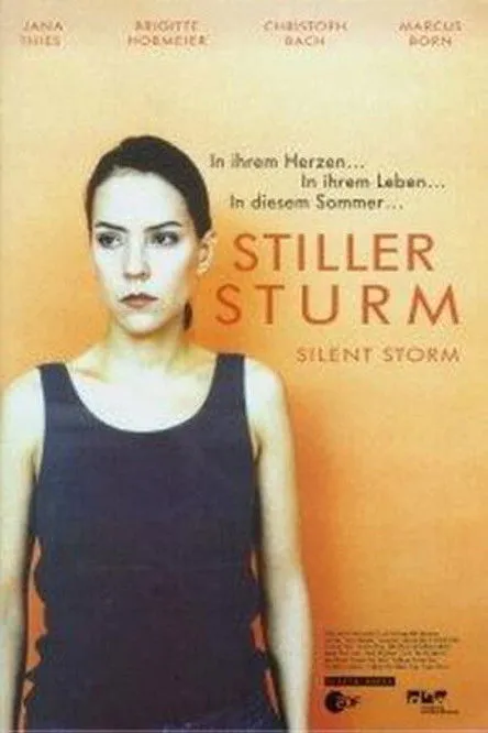 Póster de Stiller Sturm