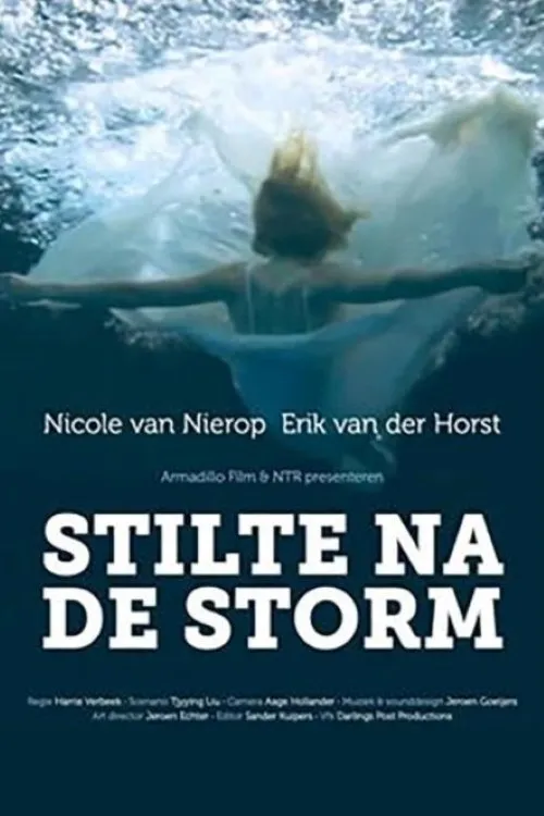 Erik van der Horst interpreta a David en Stilte na de storm