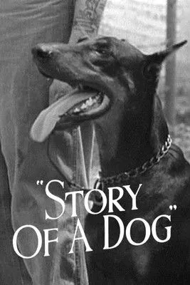 Portada de Story of a Dog