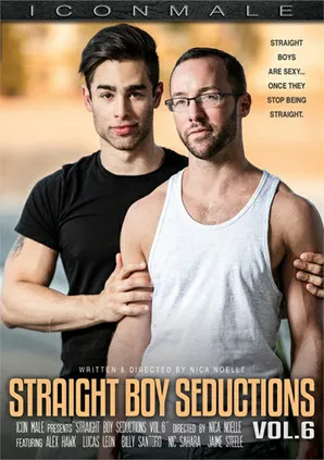 Póster de Straight Boy Seductions 6