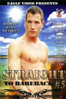 Póster de Straight to Bareback 5