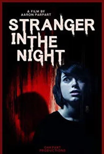 Póster de Stranger in the Night