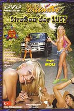 Póster de Straßen der Lust