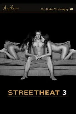 Póster de Street Heat 3