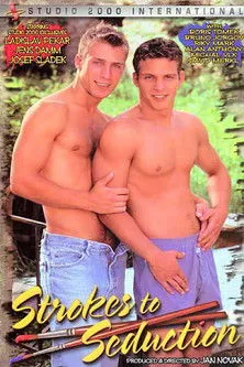 Póster de Strokes to Seduction