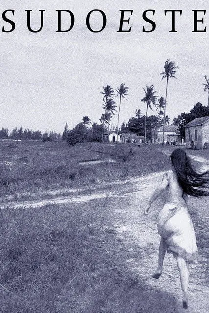 Póster de Sudoeste
