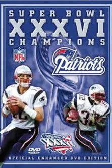 Póster de Super Bowl XXXVI Champions: New England Patriots
