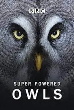 Póster de la película Super Powered Owls