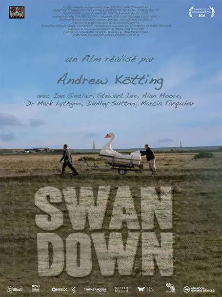 Póster de Swandown