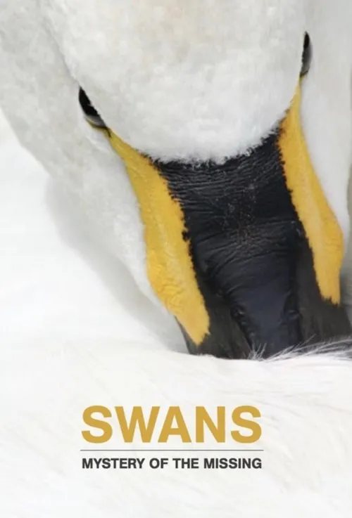 Póster de Swans: Mystery of the Missing